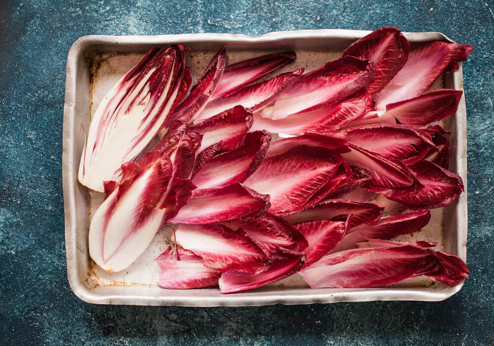 Bunches and heads of chicory are prolific throughout winter, difficult to miss with their with dramatic frilly, spiky, and cone-headed leaves. (casanisa/Shutterstock)