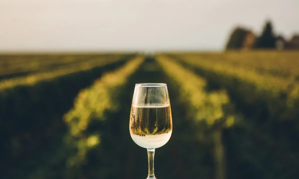 Highlights from major wine competitions offer a heartening look at the many bright spots for the wine industry in 2020. (Will Howe/Shutterstock)