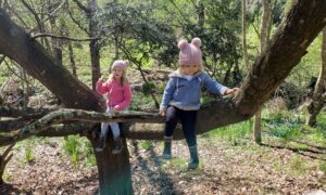 Kiwi Homeschoolers: Life on Their Terms