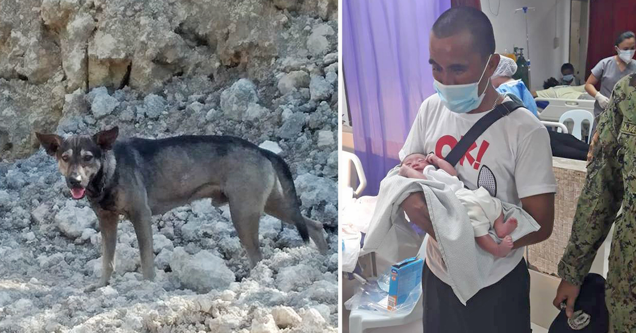 Собака спасла новорожденного ребенка. Hoootdogs имя мамы собак. Жужа собака спасла ребенка. Собака спасла младенца. Собака которая спасла ребенка.