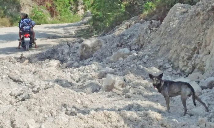 (Courtesy of Sibonga Police Department's Women and Children Protection Desk via Hope for Strays)