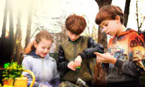 Hybrid Homeschooling—Families Seeking Better Alternatives