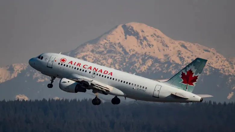 Air Canada is one of the biggest companies in Canada and in one of the industries hit hardest by COVID-19. The company says its capacity in the first quarter of 2021 will be about 20 percent of what it was in the first quarter of 2019. (The Canadian Press/Darryl Dyck)