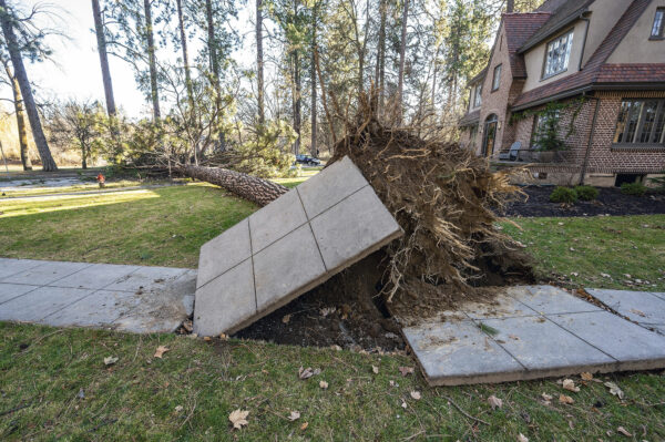 Northwest Storm