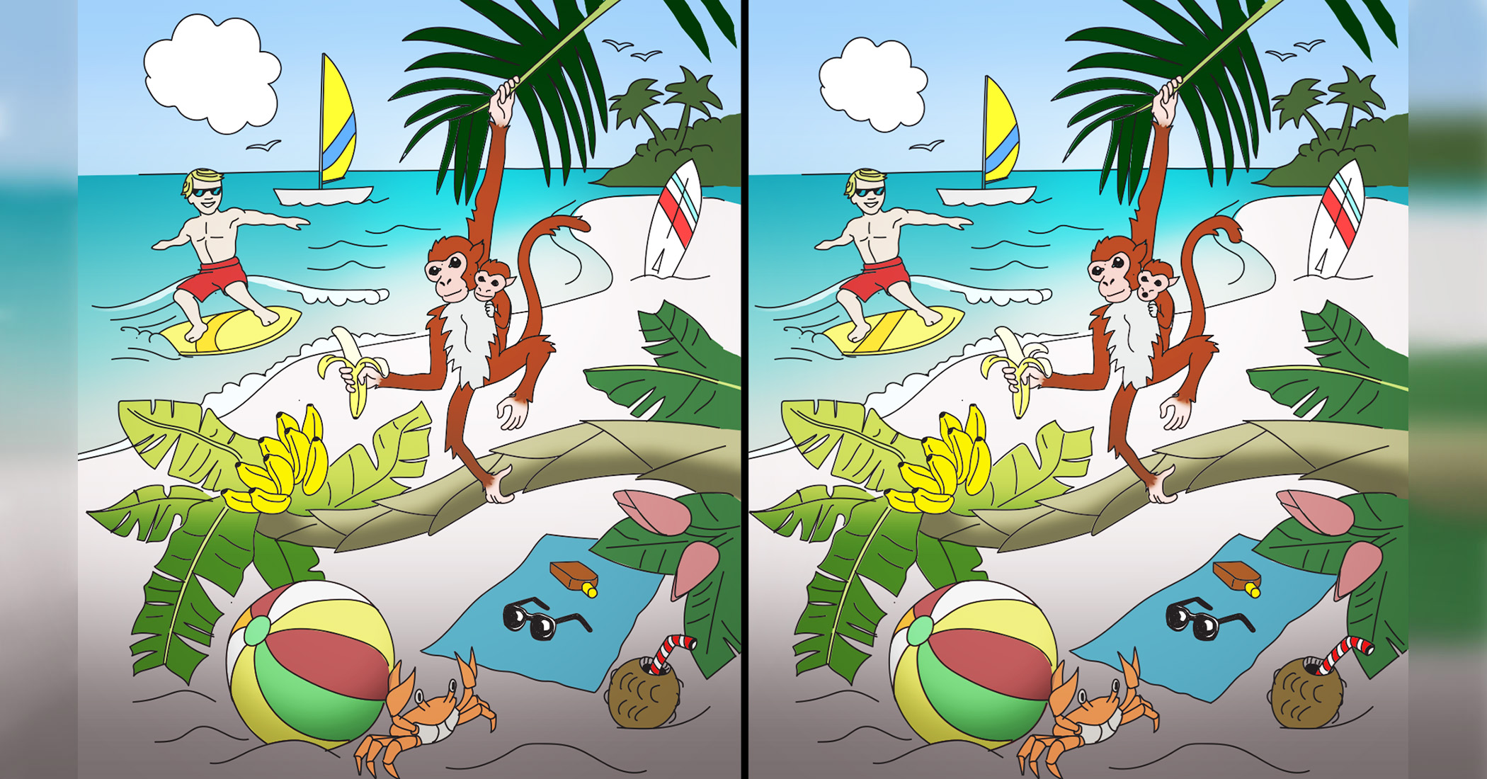 Can You Spot 10 Differences in This Balmy Tropical Beach Scene? (Yes, We Want to Go, Too) - Vimarsana News