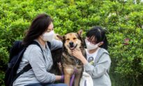 Animal Lovers Turn to Adopted Pets for Company During Pandemic