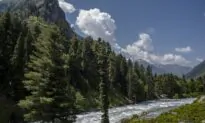 Free Flow of Water at Issue in India–China Skirmish, Expert Says