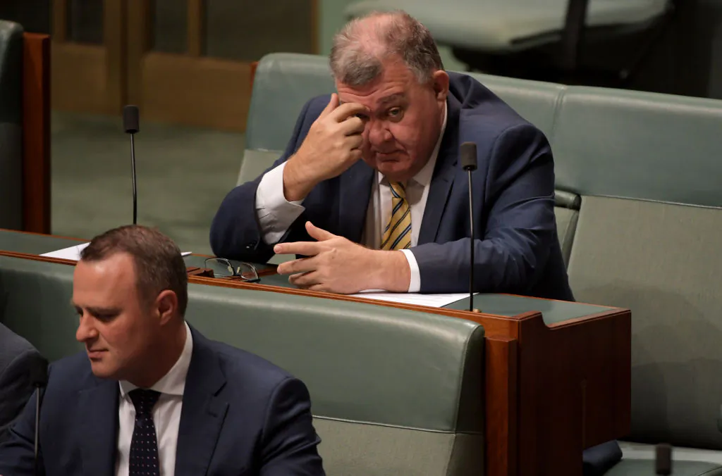 Craig Kelly (top) and Tim Wilson in the House of Representatives at Parliament House on in Canberra, Australia Feb. 21, 2019. (Tracey Nearmy/Getty Images)