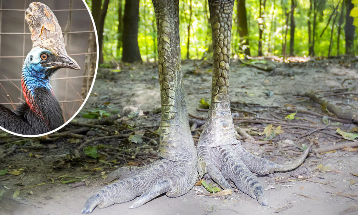 Left: (Susan Flashman/Shutterstock); Right: (belizar/Shutterstock)