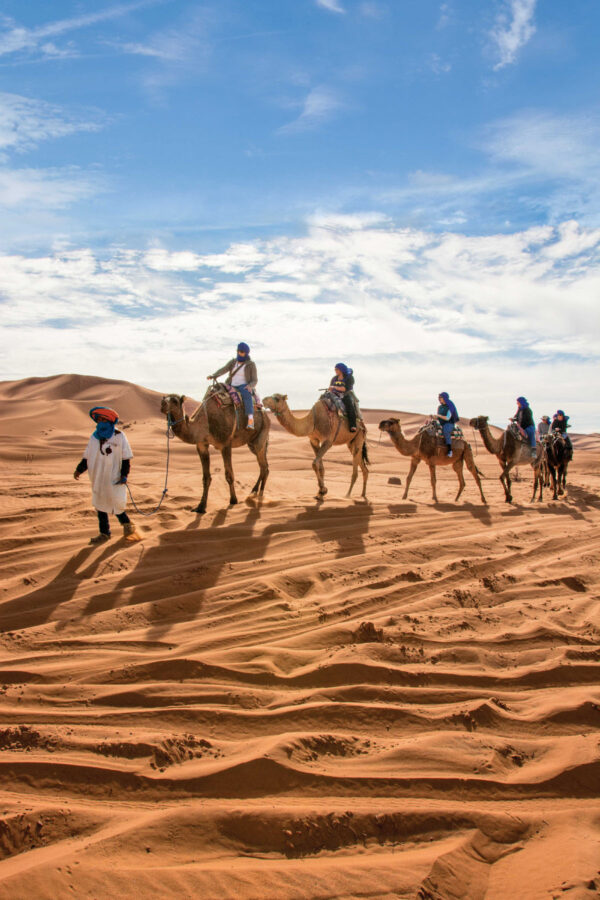 travel on camel back