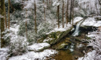 Winter Fun in the Western Carolinas