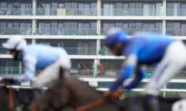 Two Horses Die in Training at Los Alamitos Ahead of License Discussion