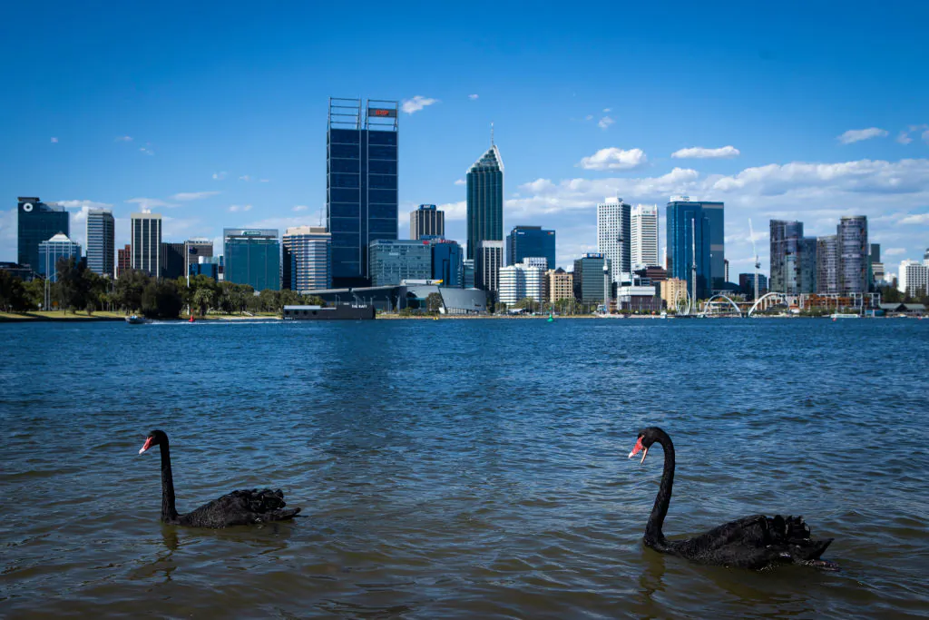 A general view of the Perth City skyline with two native Black Swans on January 8, 2021 in Perth, Australia. (Photo by Matt Jelonek/Getty Images)