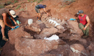 Paleontologists Extract 30 Preserved Titanosaur Eggs From 2-Ton Fossilized Dinosaur Nest in Northern Spain