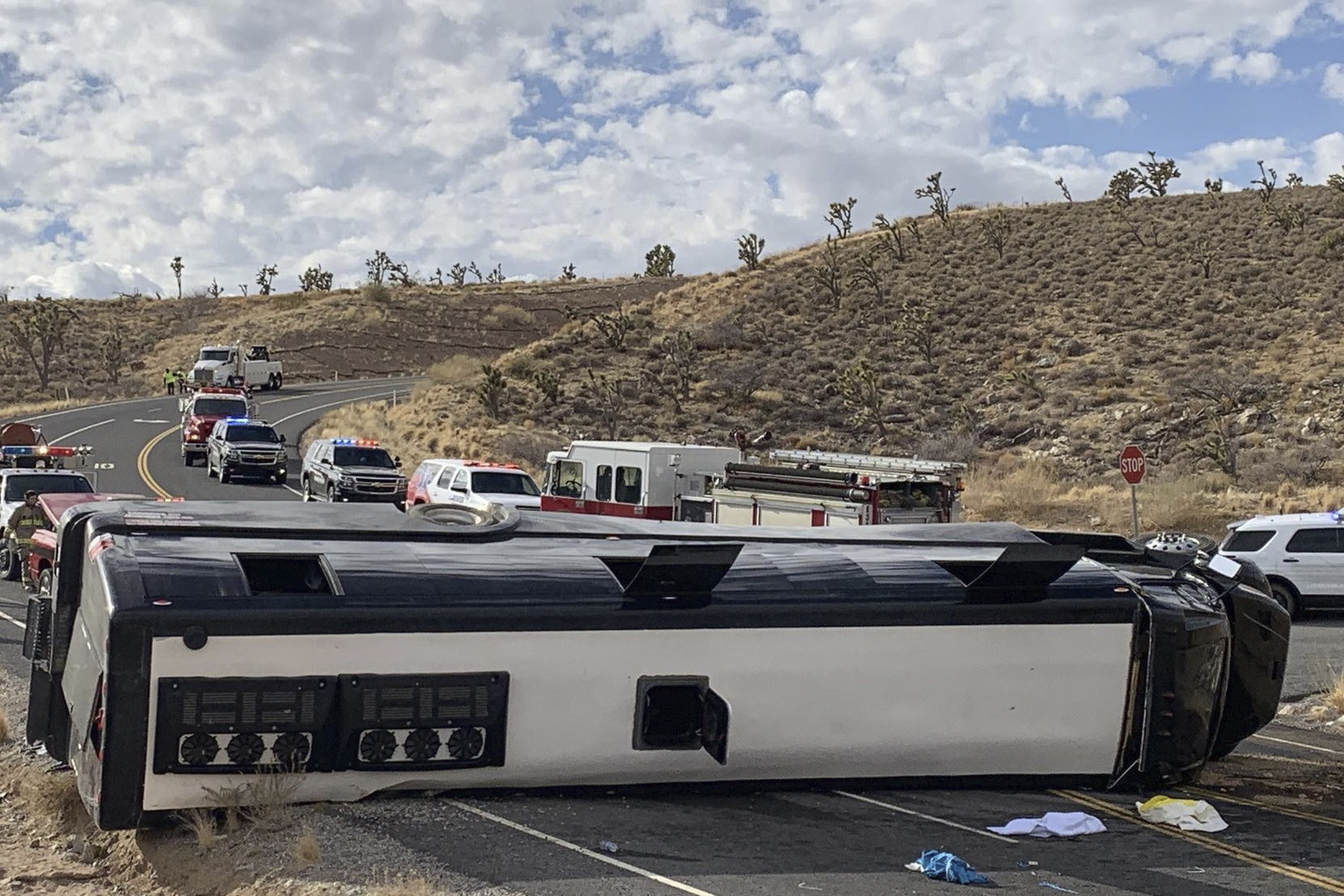 One Dead, Dozens Injured After Bus Crash on Way to Grand Canyon - Vimarsana News