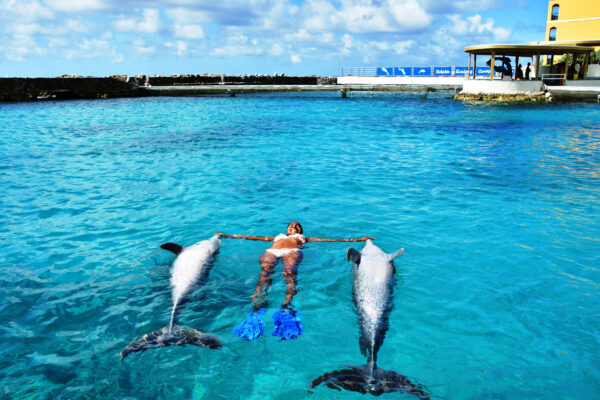 Epoch Times Photo