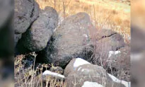 Can You Spot the Mountain Lion ‘Hidden in Plain Sight’ in This Photo of a Few Boulders?