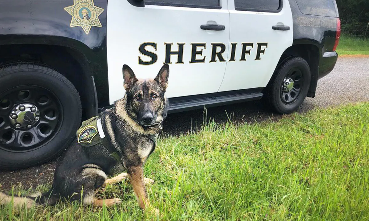 (Courtesy of Thurston County Sheriff's Office)