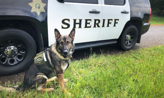K9 Officer Who Suffered 2 Gunshot Wounds Chasing Armed Suspect Returns Home