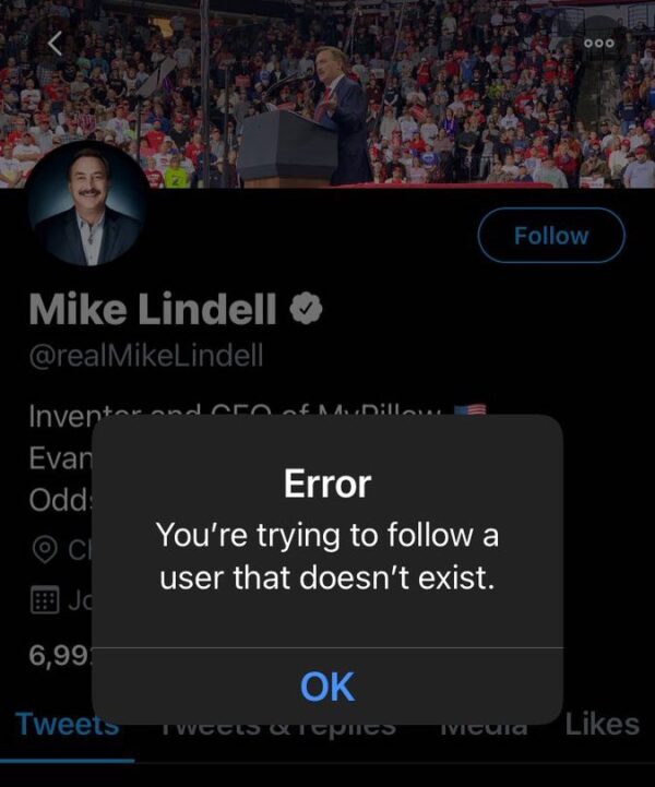 mypillow ceo mike lindell