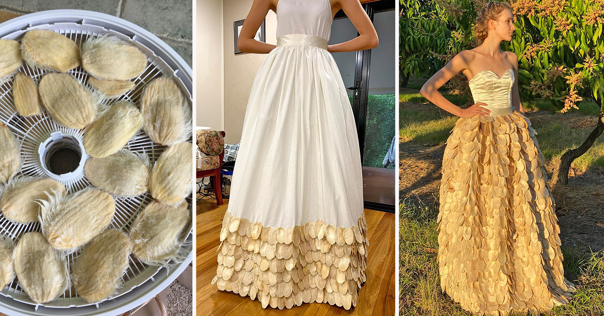 New Zealand Girl Creates Entire Gown From Mango Pits to Shed Light on Food Waste - Vimarsana News