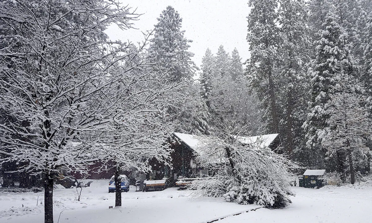 The Cascade Shores General Store is shrouded in a blanket of white snow after the storm system moved through Nevada County, on Jan. 22, 2021. (Liz Kellar/The Union via AP)