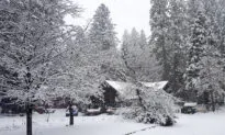 Foot of Snow Blankets Parts of Midwest, Disrupts Travel
