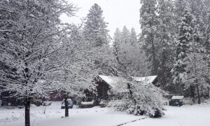 Foot of Snow Blankets Parts of Midwest, Disrupts Travel