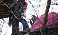 Tree-Top Protesters Tunnel Under London Streets to Block HS2 Trainline