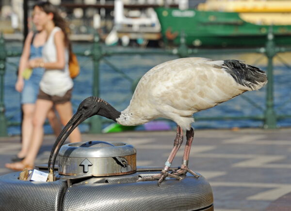 Epoch Times Photo