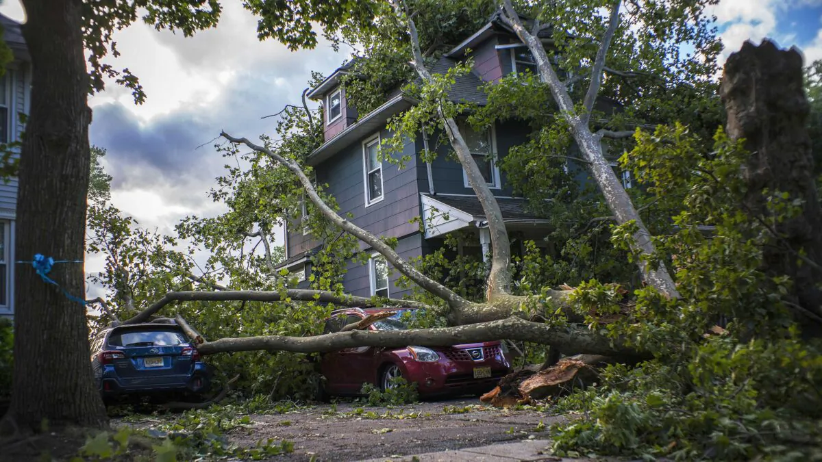 Cars and a house are shown damaged by a fallen tree after Tropical Storm Isaias and its treacherous winds and heavy rain passed through Bogota, N.J., on Aug. 4, 2020. (Eduardo Munoz Alvarez/Getty Images)