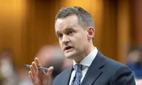 Liberals’ Two Billion Trees Promise to Cost $2.78 Billion More Than Planned, PBO Says