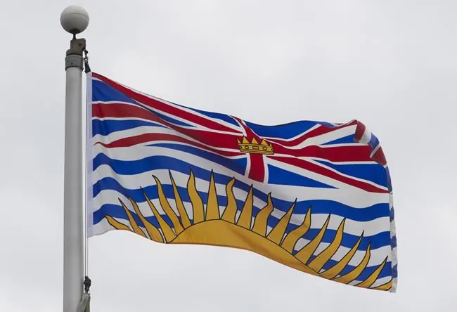 British Columbia's provincial flag flies in Ottawa, on July 3, 2020. A government-commissioned panel is recommending against the introduction of a basic income for all in British Columbia. (The Canadian Press/Adrian Wyld)