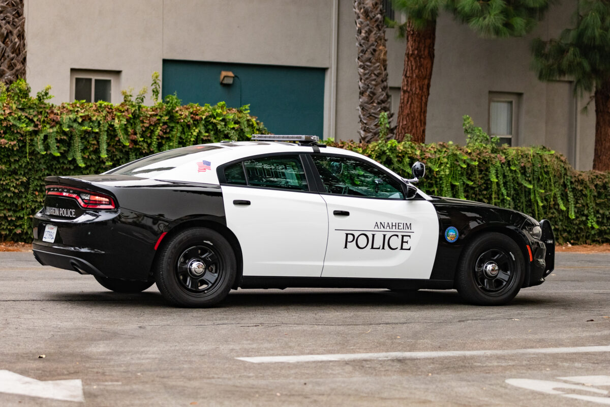 Woman Arrested on Suspicion of Animal Abuse at Anaheim Daycare