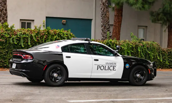 European Visitor Suspected of Anaheim Homicide