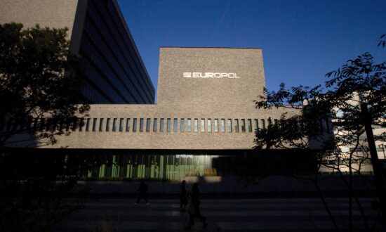 Cybercops Derail Malware Botnet, FBI Makes Ransomware Arrest