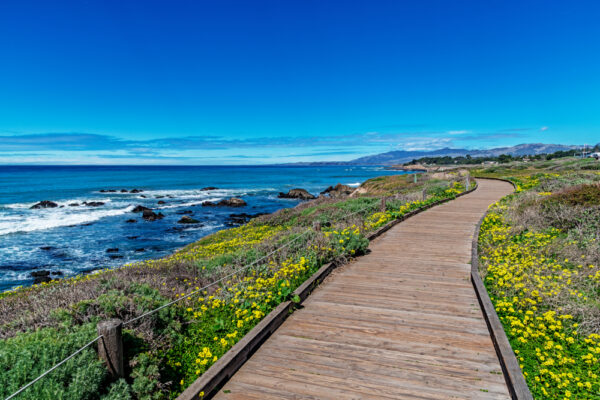 cambria