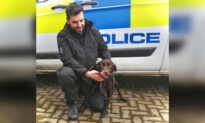 Energetic Puppy That Failed Two Rehoming Attempts Finds His Calling in the Police Force