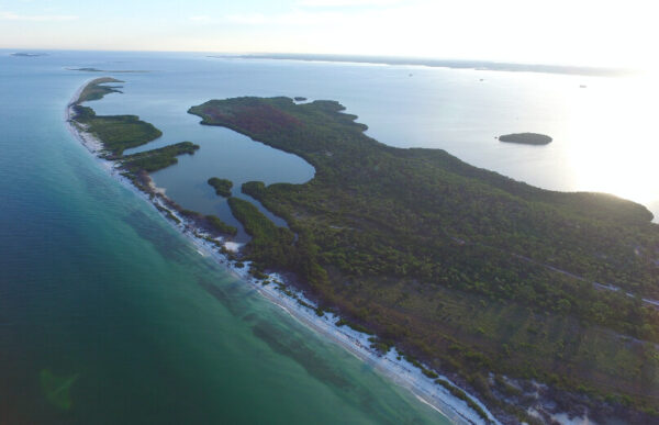 Honeymoon Island State Park