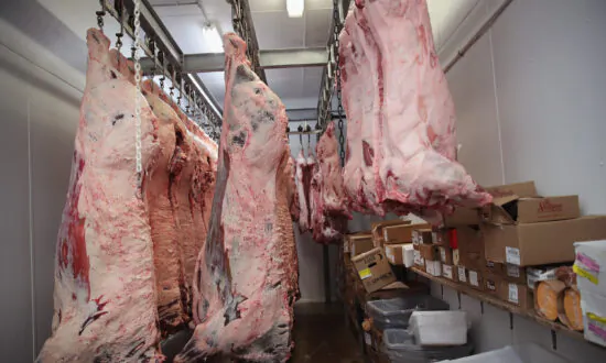 Charges Dropped Against Activist Who Exposed Iowa Hog Deaths