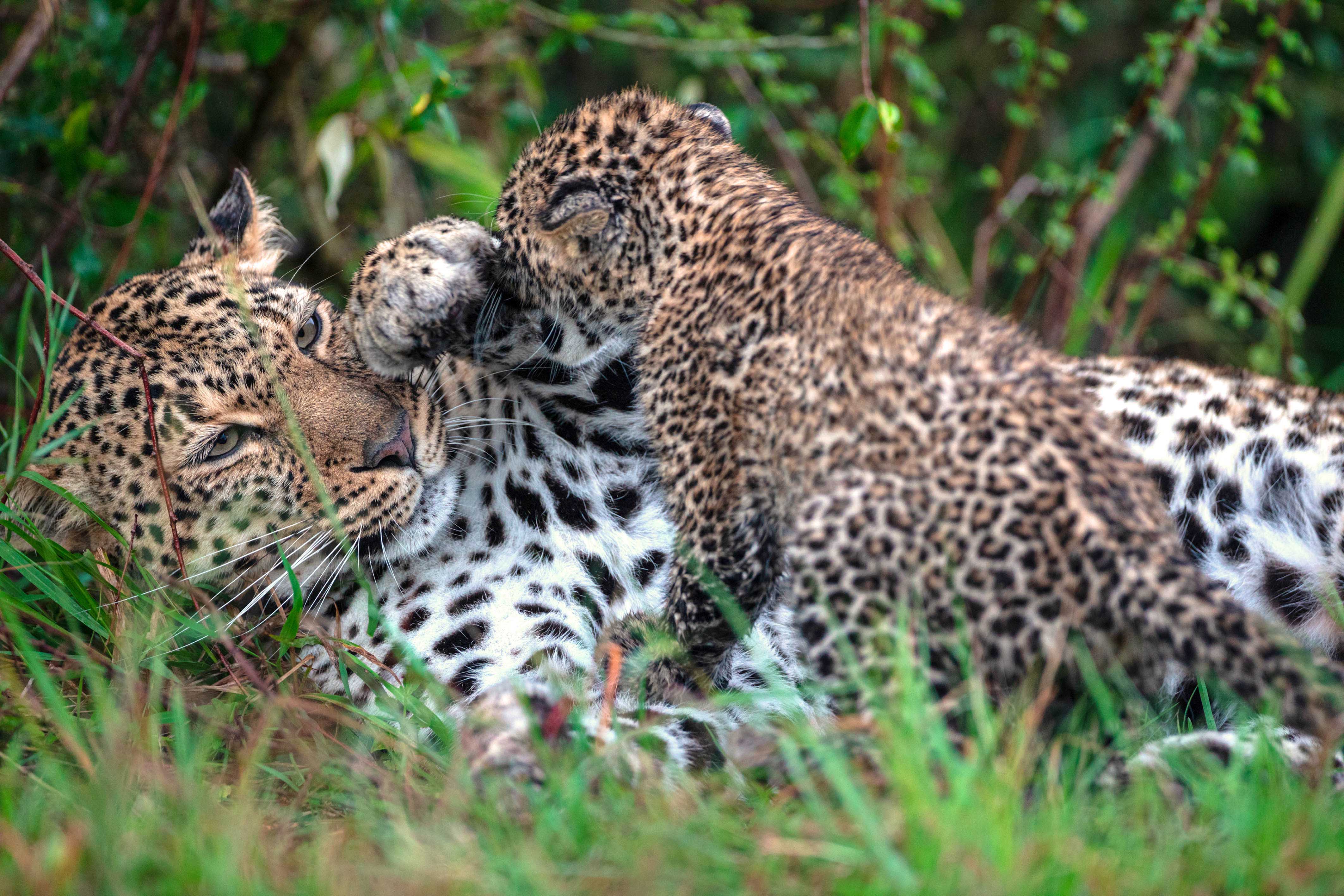 Epoch Times Photo