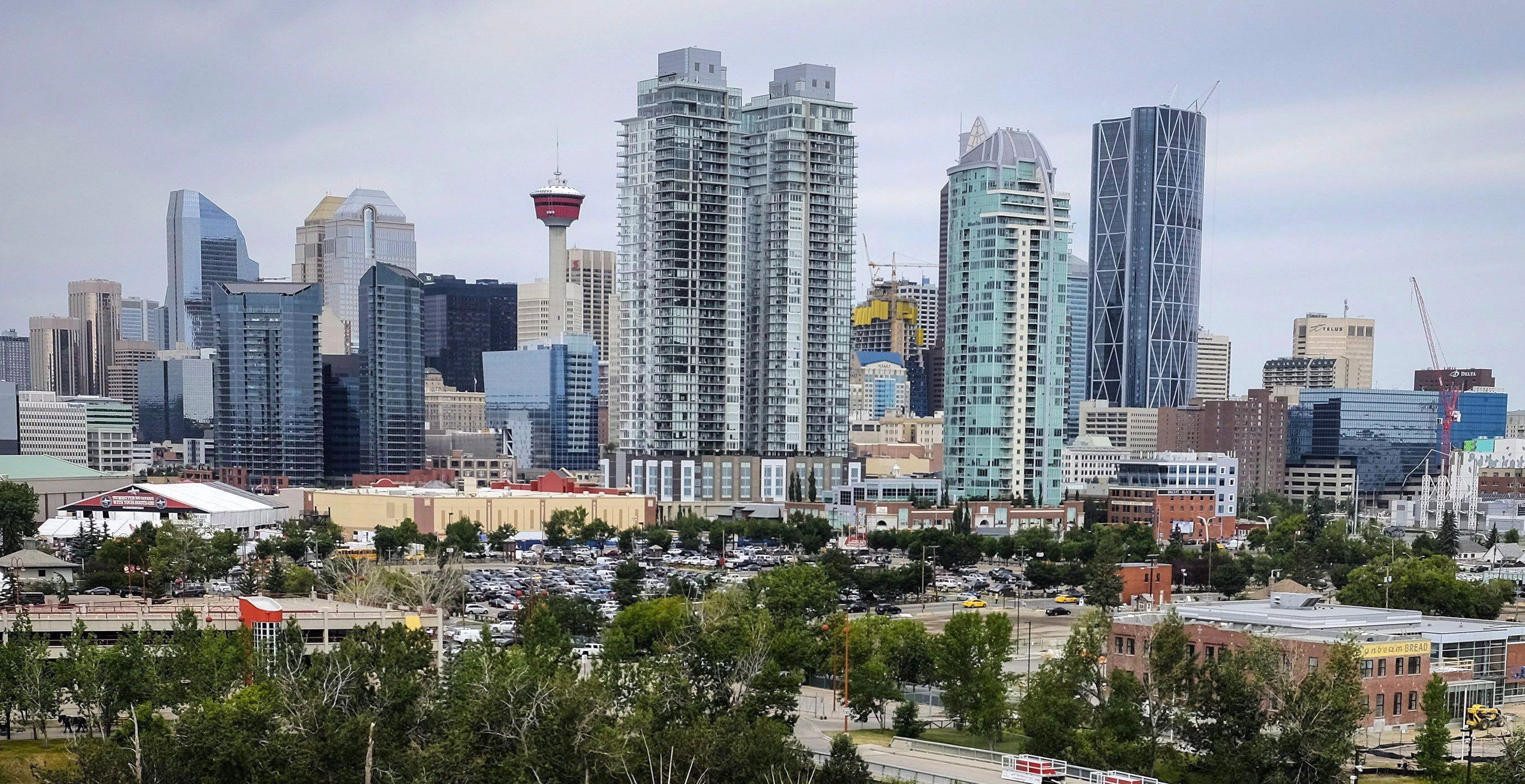 Legal Organization Announces It Will Sue Over Calgary Protest Bylaw - Vimarsana News