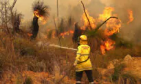 Uncontrolled Bushfires Destroy 71 Perth Homes Prompting Total Fire Ban