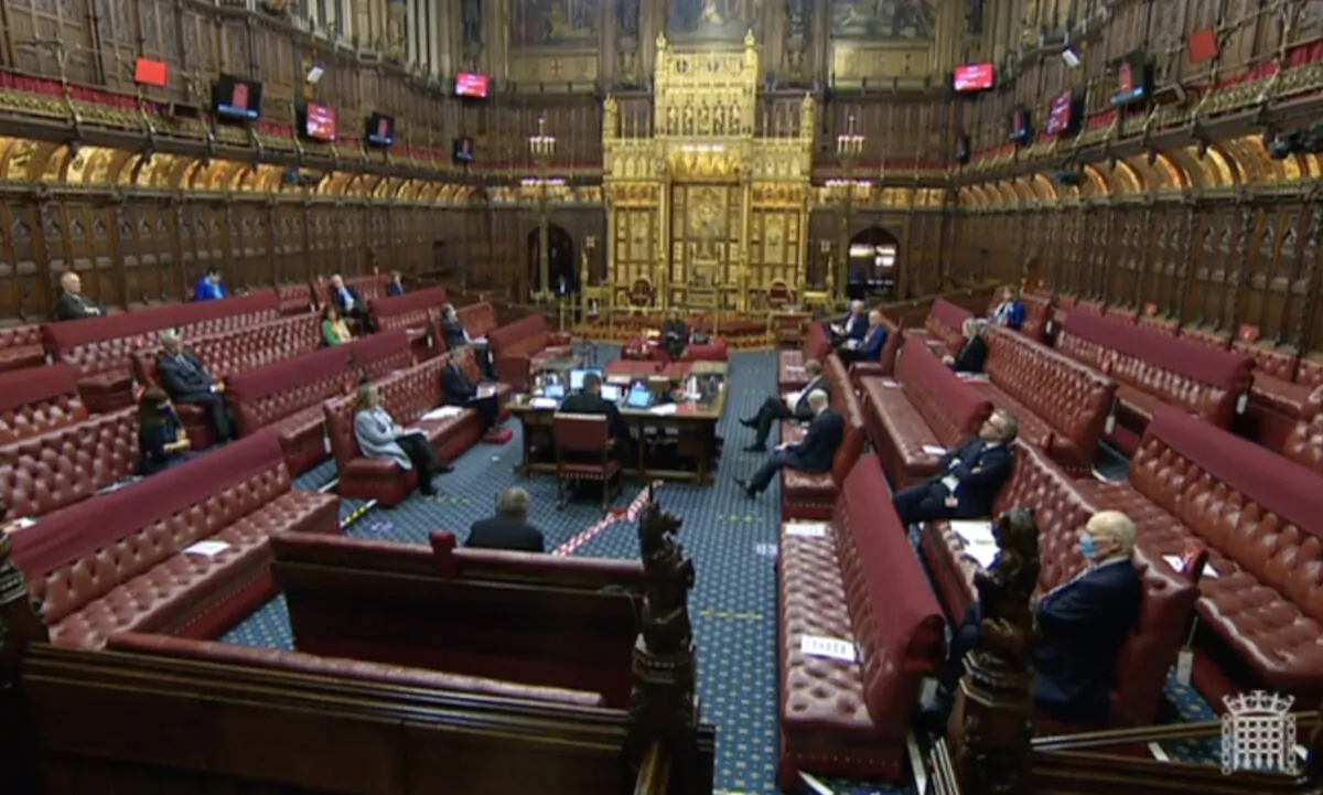 Lords debate the genocide amendments to Trade Bill 2019-21 in the House of Lords chamber in Westminster, London, on Feb. 2, 2021. (Parliamentlive.tv/Screenshot)
