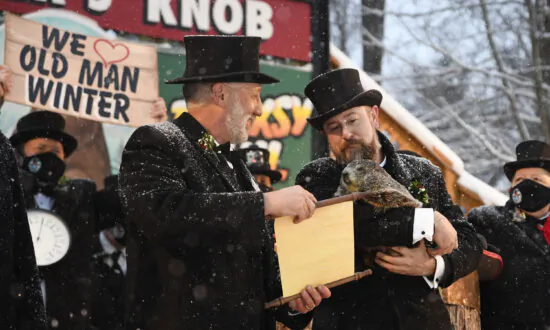 A Gloomy Groundhog Day: Punxsutawney Phil Says More Winter