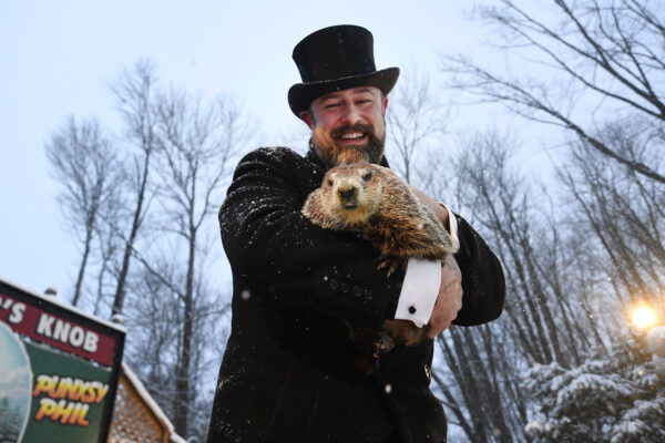 dereume-punxsutawney-phil