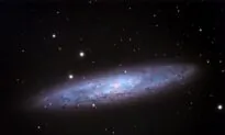 Giant Gamma-Ray Eruption Bursts From Nearby Magnetar