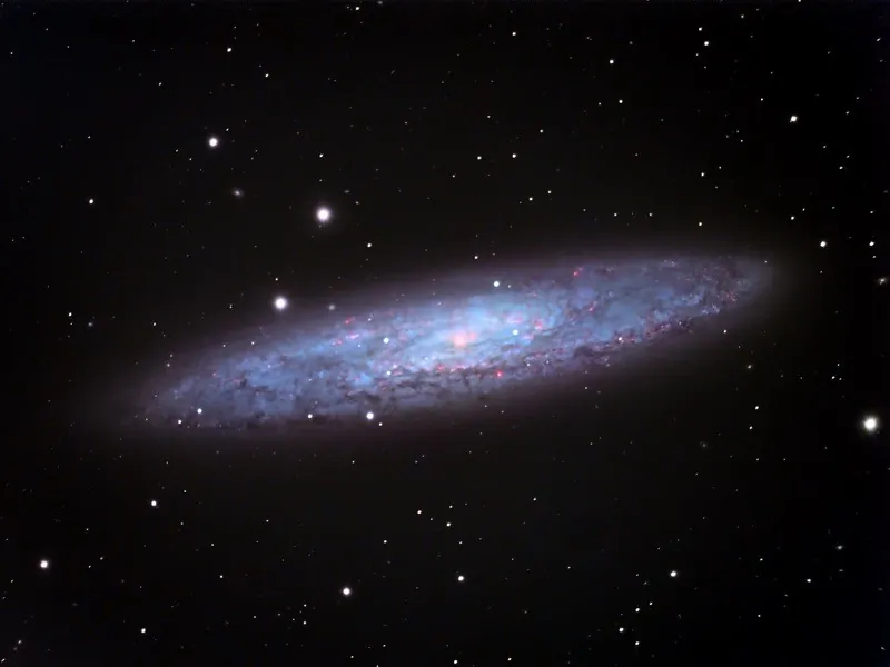 The Sculptor galaxy, NGC 253. Analyses of a burst of γ-ray emissions from this galaxy suggest that they were produced by a giant flare from a magnetar, a highly magnetized stellar remnant. (Dylan O’Donnell)