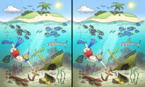 Can You Spot 11 Differences Hidden in These 2 Balmy Underwater Scenes? (Yes, We Want to Go Too)
