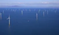 South Australia Opposes Offshore Windfarm Zone for Environmental Reasons